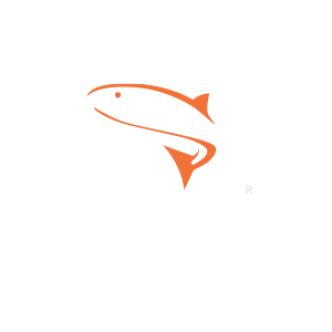 Salmon de Chile